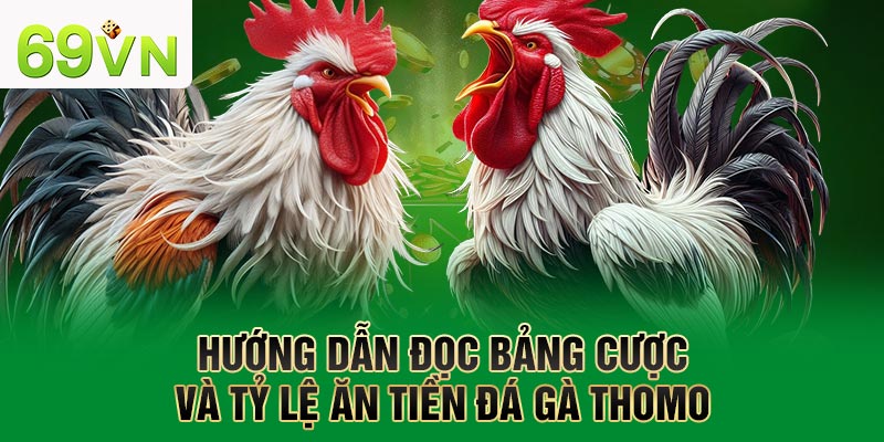 Hướng dẫn đọc bảng cược và tỷ lệ ăn tiền đá gà Thomo