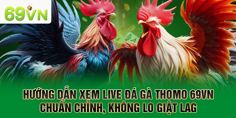 Hướng dẫn xem live đá gà Thomo 69VN chuẩn chỉnh, không lo giật lag